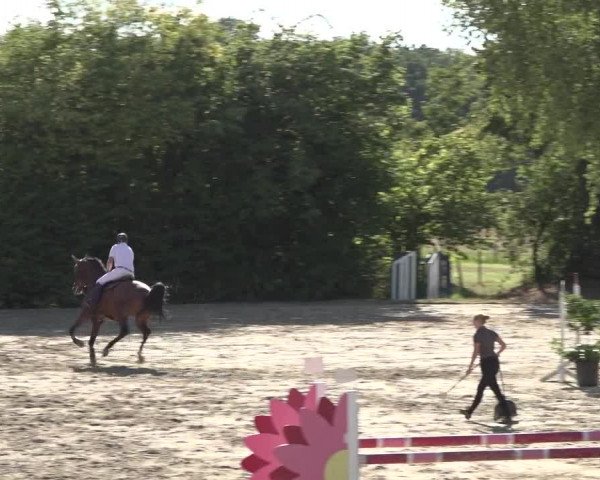 Reitturnier Bonn - Annaberger Hof 2022