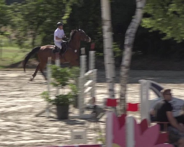 Reitturnier Bonn - Annaberger Hof 2022