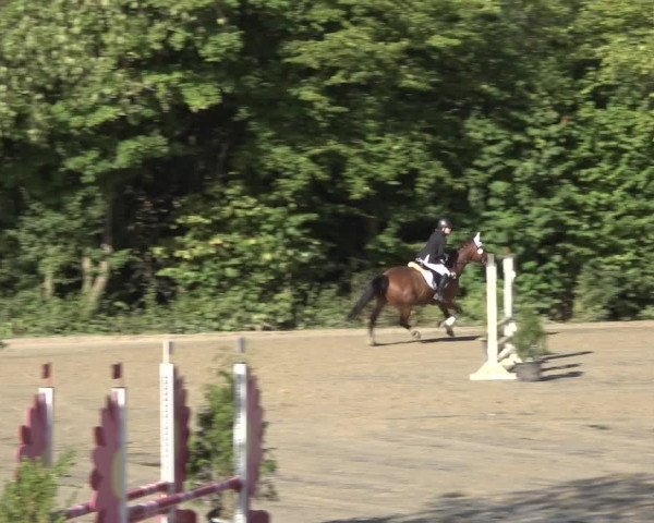 Reitturnier Bonn - Annaberger Hof 2022