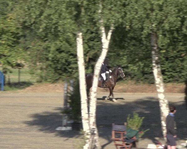 Reitturnier Bonn - Annaberger Hof 2022