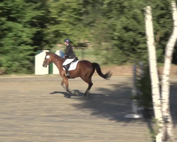 Reitturnier Bonn - Annaberger Hof 2022