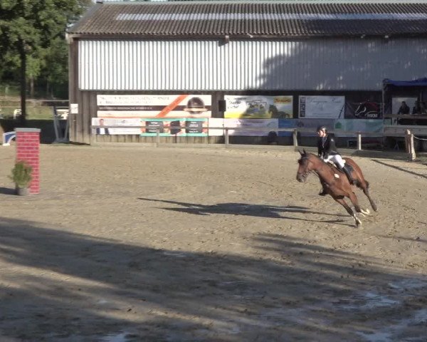 Reitturnier Bonn - Annaberger Hof 2022