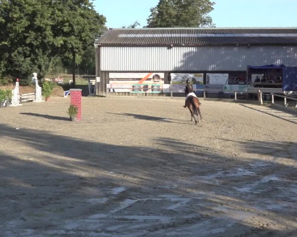 Reitturnier Bonn - Annaberger Hof 2022