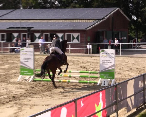 Springturnier Lüdinghausen 2021