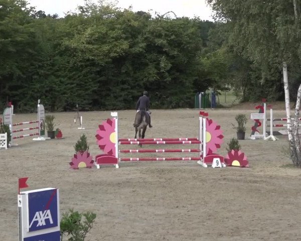 Reitturnier Bonn - Annaberger Hof 2022