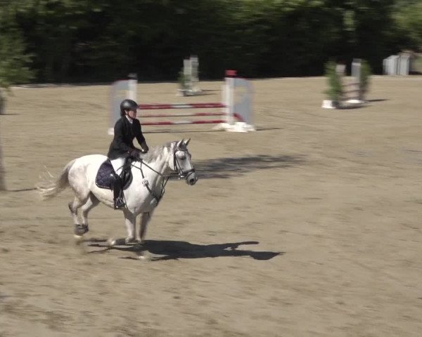 Reitturnier Bonn - Annaberger Hof 2022