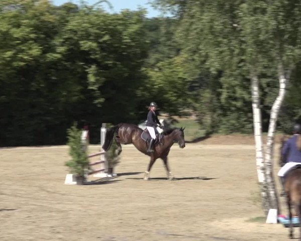 Reitturnier Bonn - Annaberger Hof 2022