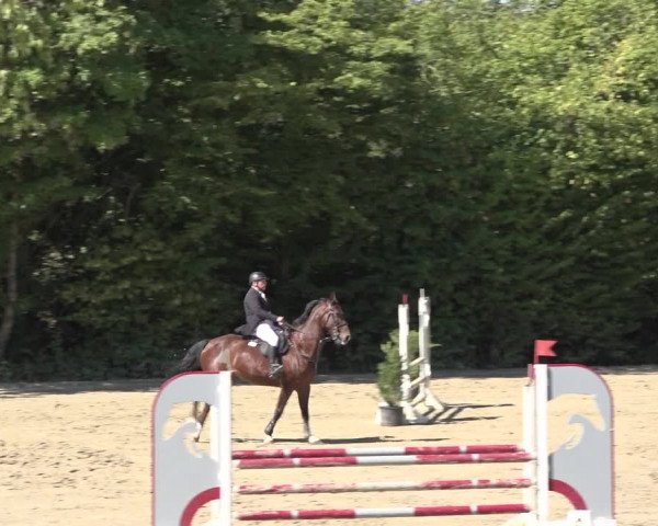 Reitturnier Bonn - Annaberger Hof 2022