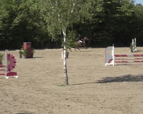 Reitturnier Bonn - Annaberger Hof 2022