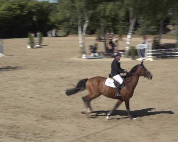 Reitturnier Bonn - Annaberger Hof 2022