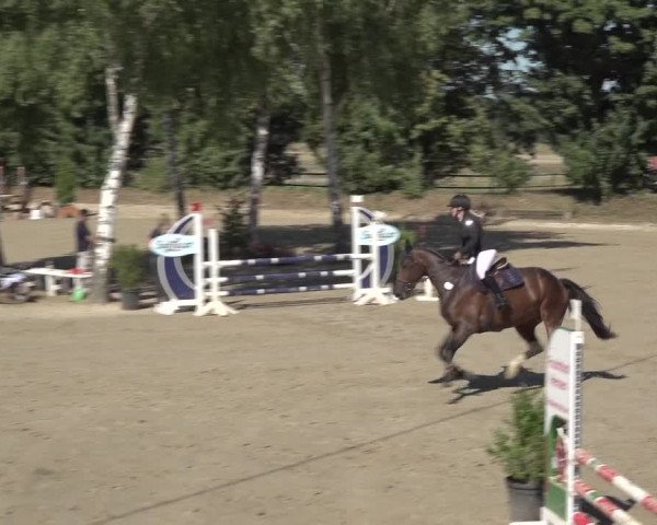 Reitturnier Bonn - Annaberger Hof 2022