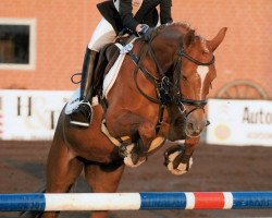 Zuchtstute Crisby WE (Deutsches Reitpony, 2005, von Halifax)
