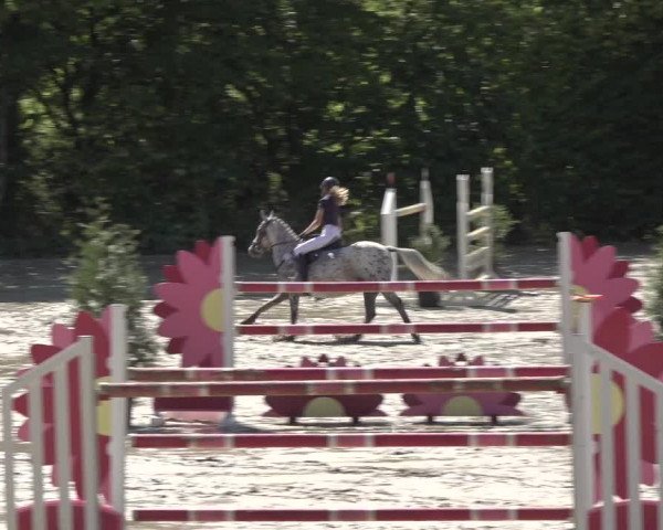 Reitturnier Bonn - Annaberger Hof 2022