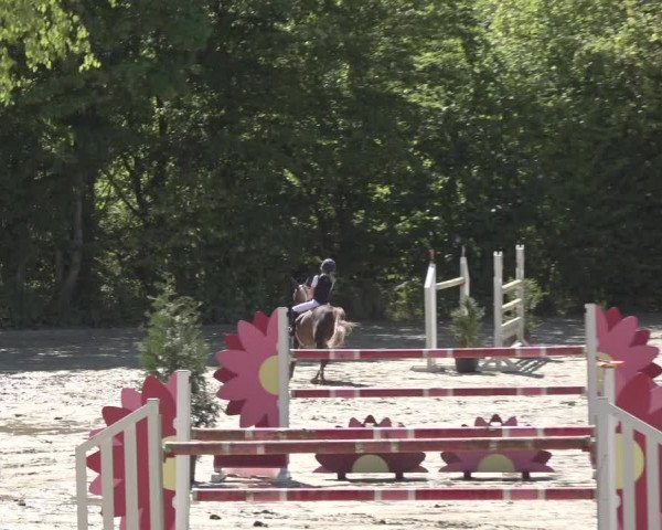 Reitturnier Bonn - Annaberger Hof 2022