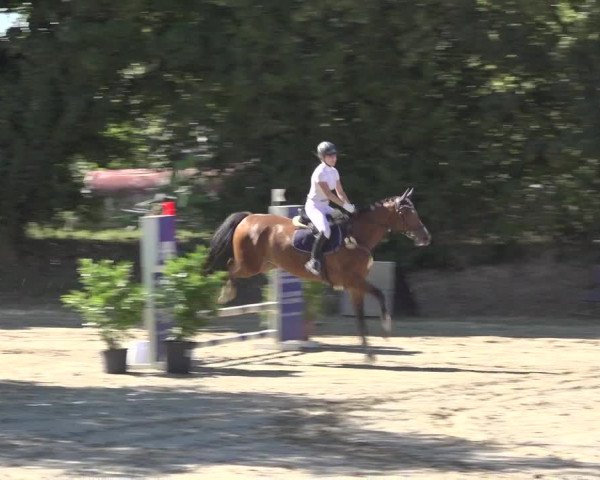 Reitturnier Bonn - Annaberger Hof 2022