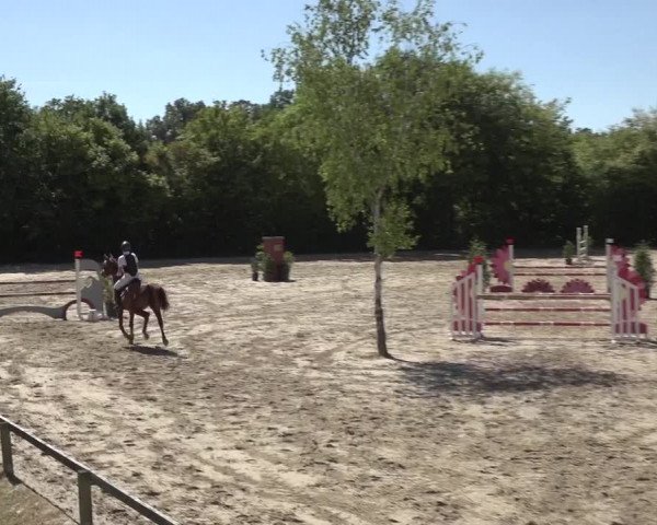 Reitturnier Bonn - Annaberger Hof 2022