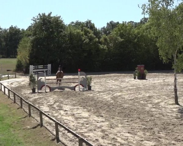 Reitturnier Bonn - Annaberger Hof 2022