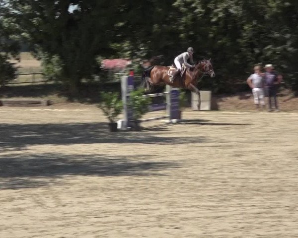 Reitturnier Bonn - Annaberger Hof 2022