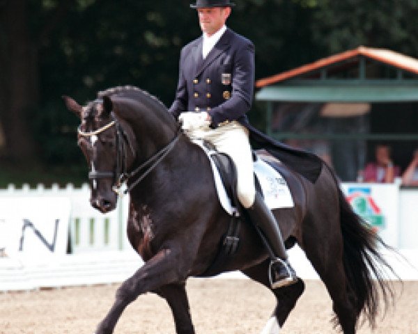 Deckhengst Dolany (Holsteiner, 1997, von Donnerhall)