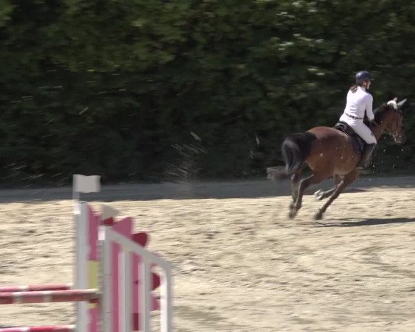 Reitturnier Bonn - Annaberger Hof 2022