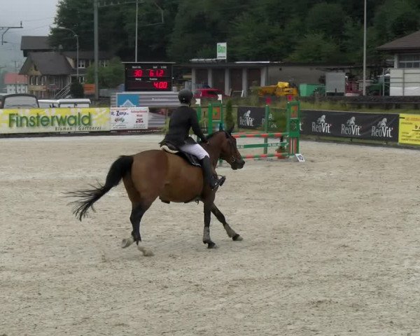 Reitturnier Schüpfheim 2022