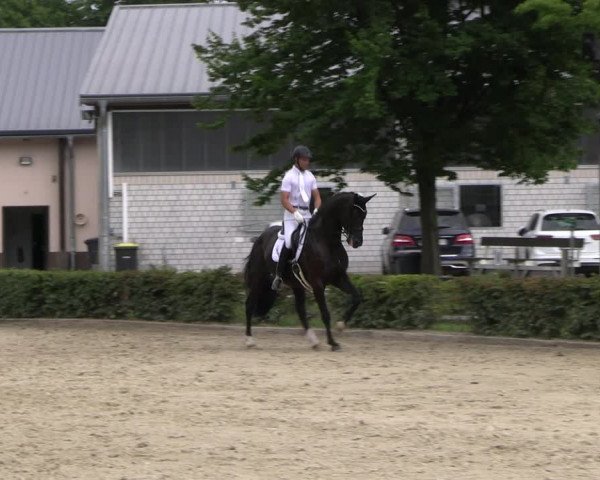 Reitturnier Olfen-Vinnum 2022