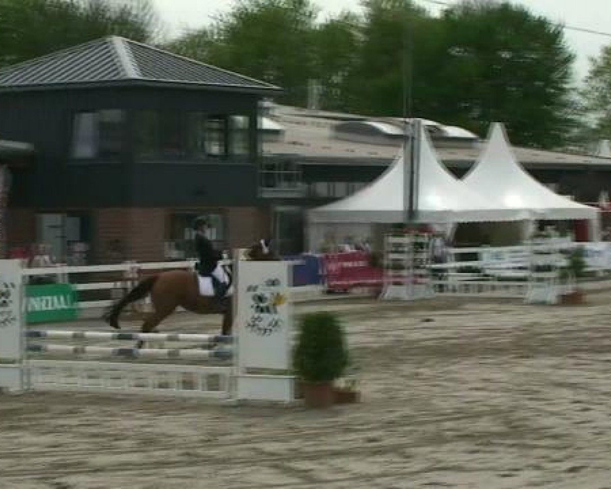 Zuchtstute Ruby Cairo (Westfale, 1996, von Rtl)