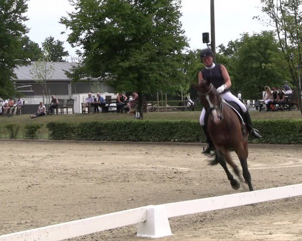 Reitturnier Olfen-Vinnum 2022