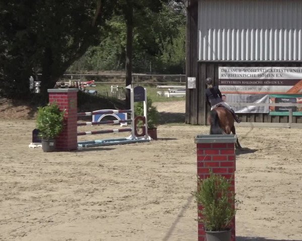 Reitturnier Bonn - Annaberger Hof 2022