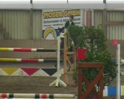 Jumper Concorde 47 (Holsteiner, 1999, from Contender)