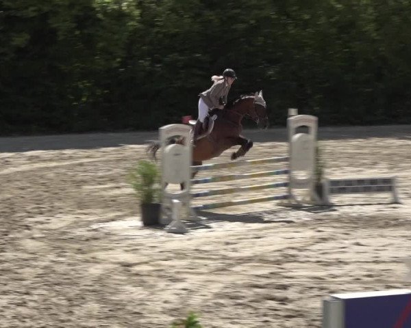 Reitturnier Bonn - Annaberger Hof 2022