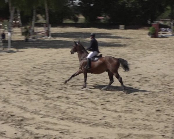 Reitturnier Bonn - Annaberger Hof 2022