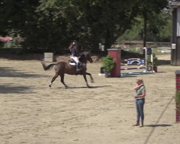 Reitturnier Bonn - Annaberger Hof 2022