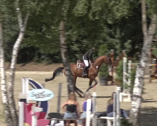 Reitturnier Bonn - Annaberger Hof 2022