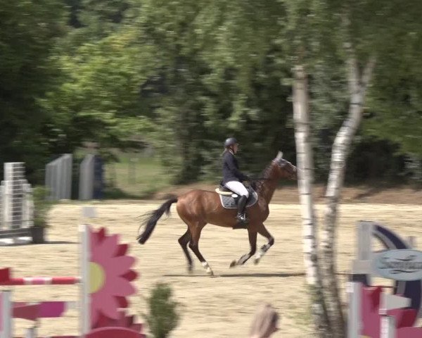 Reitturnier Bonn - Annaberger Hof 2022