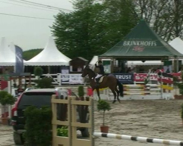 jumper Rubens Relanti (Hanoverian, 2005, from Royal Z I)
