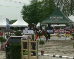jumper Rubens Relanti (Hanoverian, 2005, from Royal Z I)