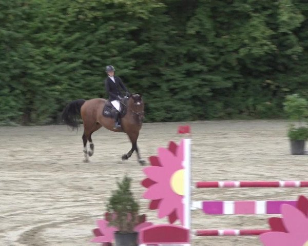 Reitturnier Bonn - Annaberger Hof 2022