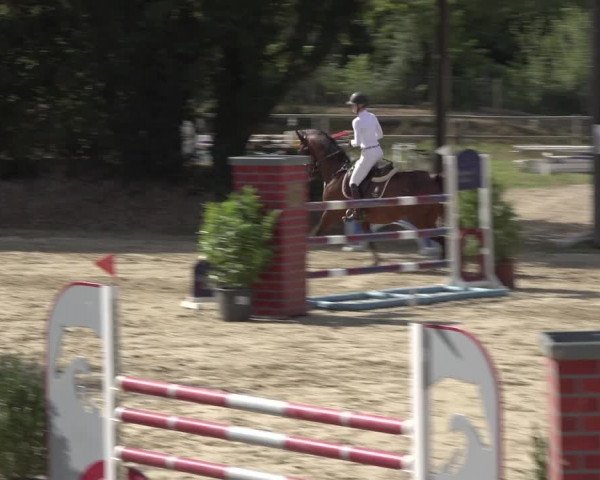Reitturnier Bonn - Annaberger Hof 2022