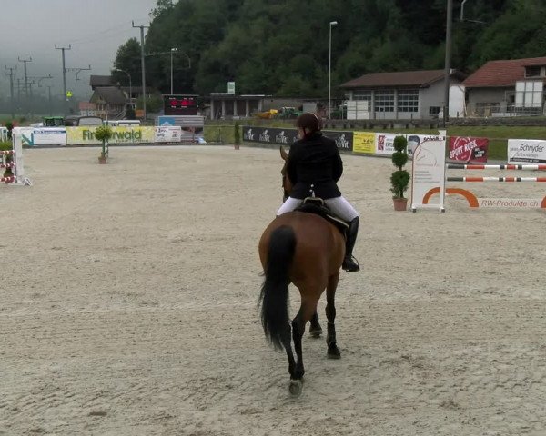 Reitturnier Schüpfheim 2022