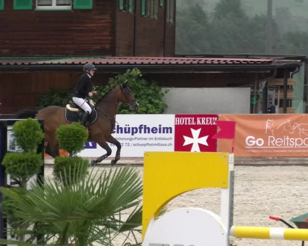 Reitturnier Schüpfheim 2022