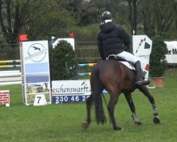 jumper Luping 5 (Westphalian, 2006, from Lord Lancer)