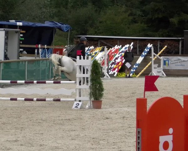 Reitturnier Schüpfheim 2022