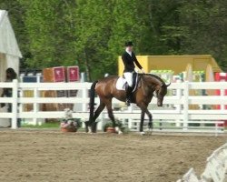 dressage horse Batumi 7 (Hanoverian, 2006, from Breitling W)