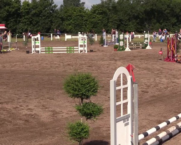 Reitturnier Sollerup 2022