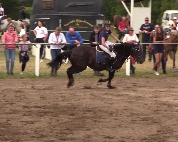 Reitturnier Sollerup 2022