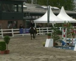 jumper Rock Obolenski TF (Westphalian, 2007, from Rock Forever NRW)