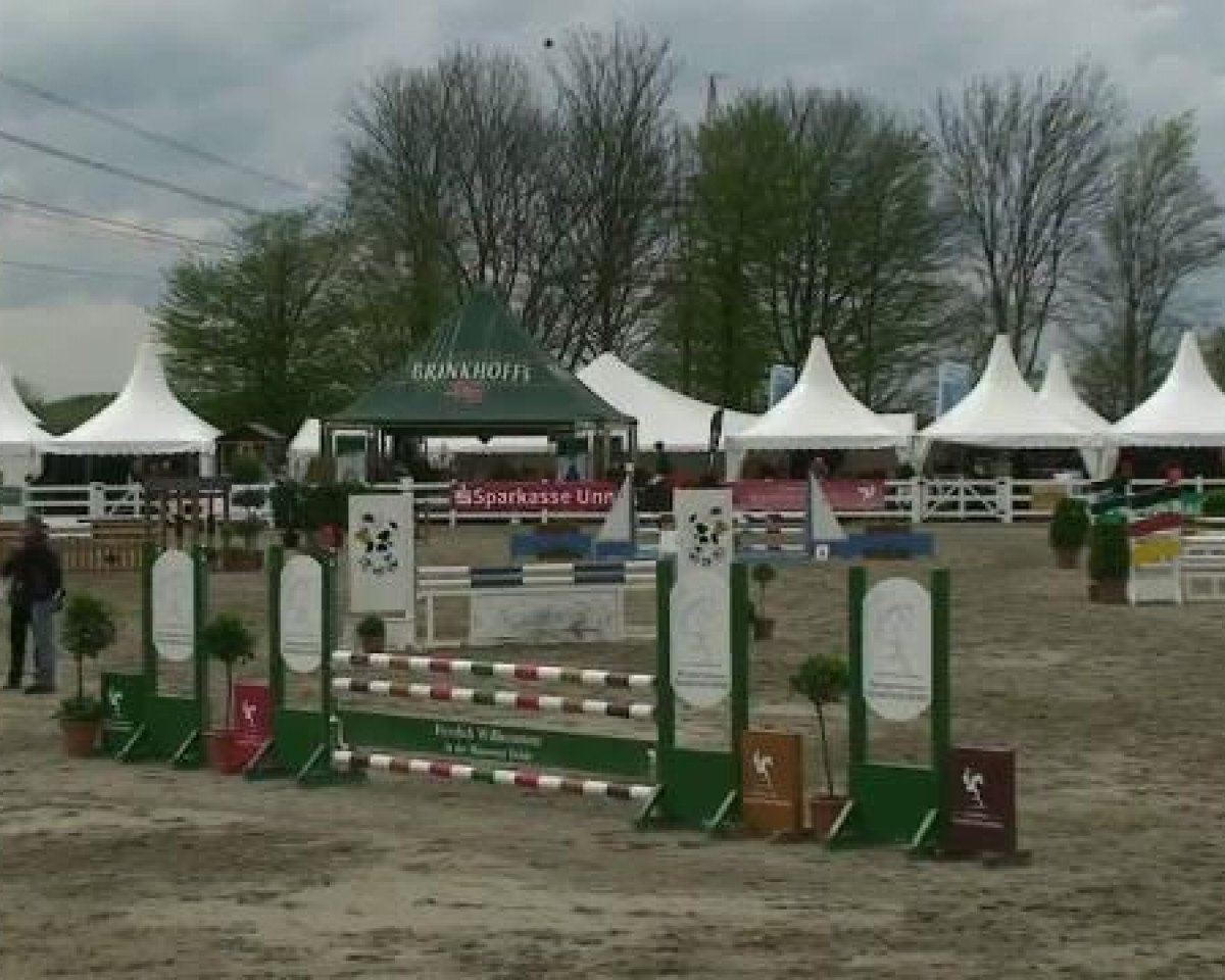 Springpferd Glamour-Boy (Belgisches Warmblut, 2006, von Poor Boy)