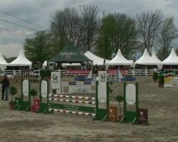 jumper Glamour-Boy (Belgian Warmblood, 2006, from Poor Boy)