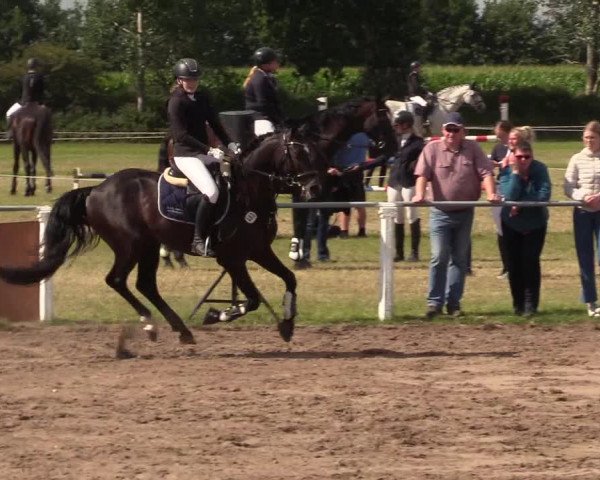 Reitturnier Sollerup 2022